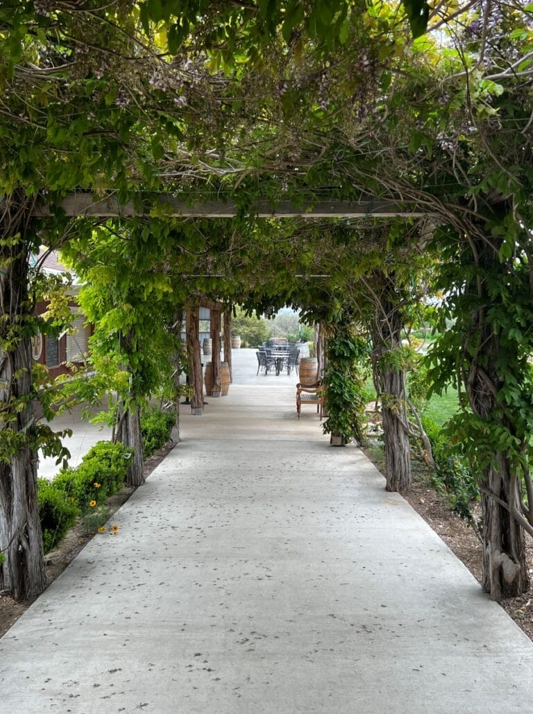 entrance to a Texas Hill Country winery