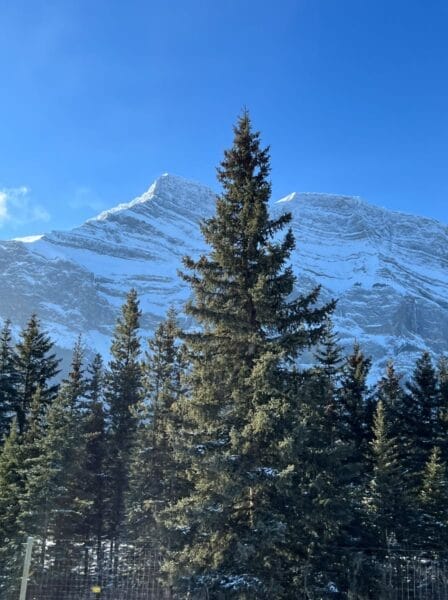 Full day scenic tour view on 5 day Banff itinerary
