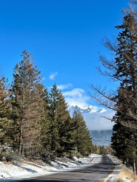 Tunnel Mountain Drive in Banff National Park