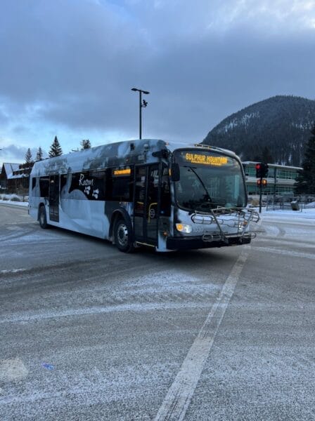 Roam busses in Banff National Park