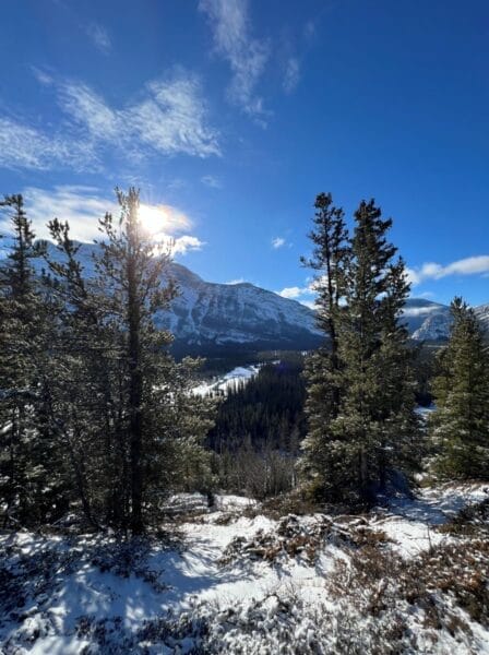 view of Banff National Park