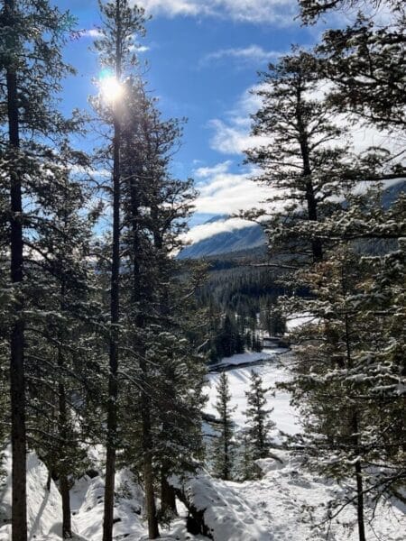 Bow River trail in Banff