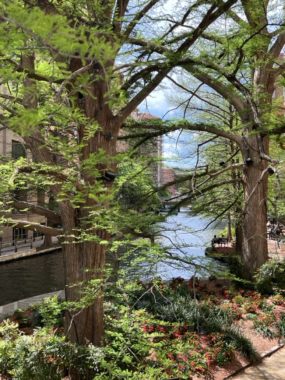 view of Riverwalk in San Antonio, Texas