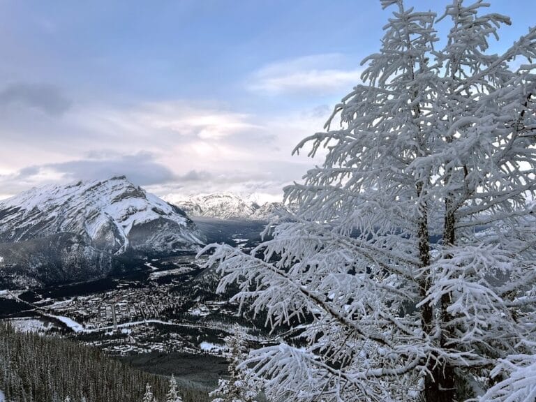 view from Banff gondola