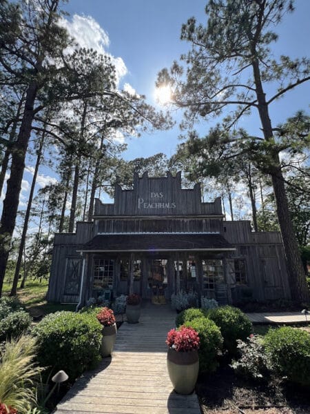 must visit spot on day trip to Fredericksburg, Tx - Das Peach Haus