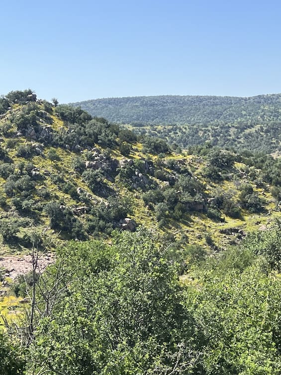 scenery on day trip to Fredericksburg, TX