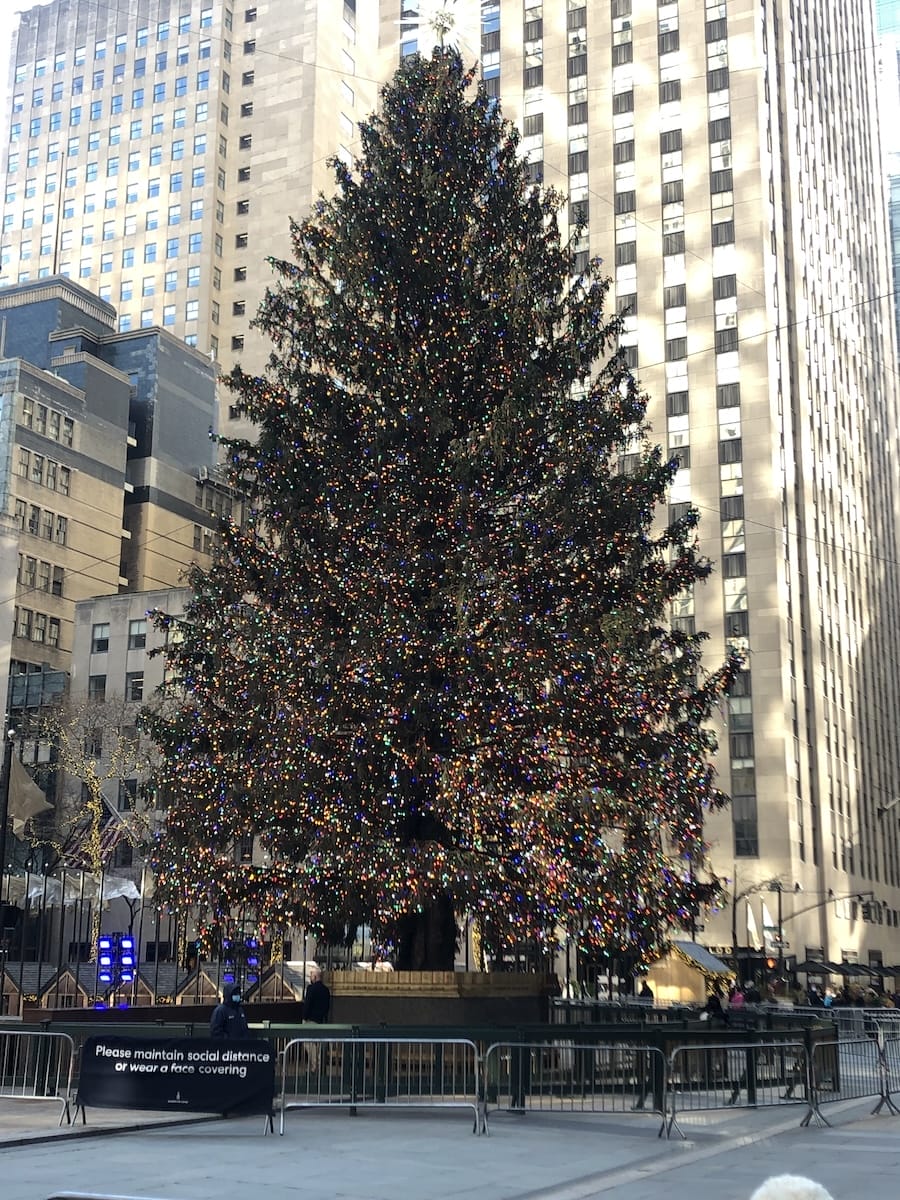 Rockefeller Center tree in the daytime
