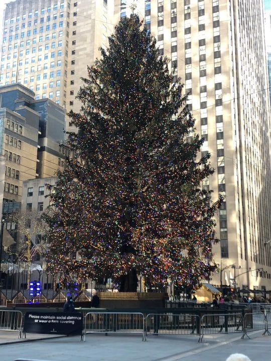 Rockefeller Center tree in the daytime