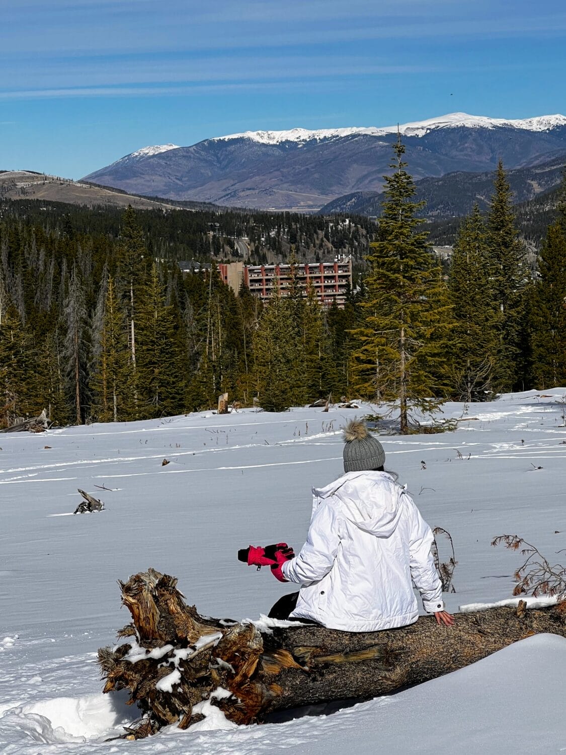 Breckenridge View