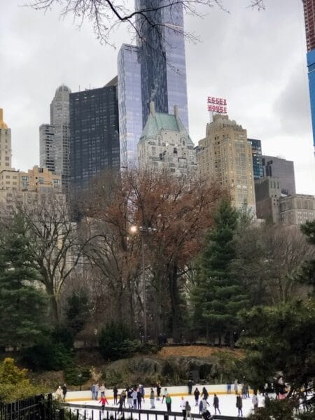 Central Park skyline