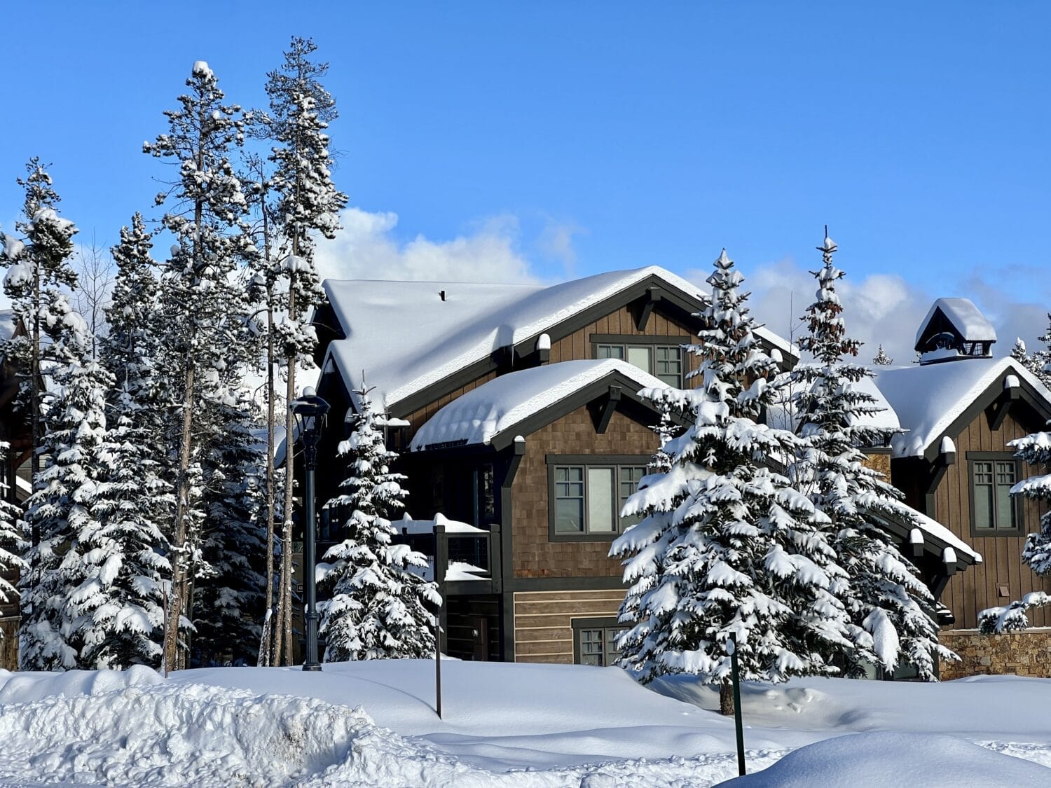 Colorado home at Thanksgiving
