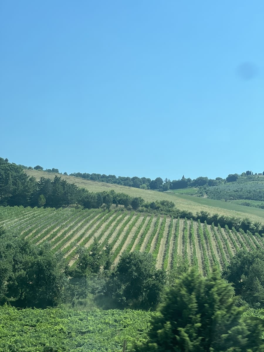 view from high speed train in Roma to Florence