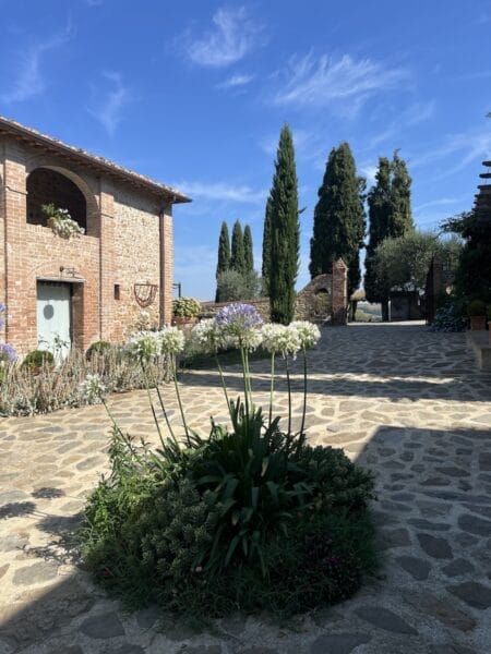 winery in Montalcino, Tuscany