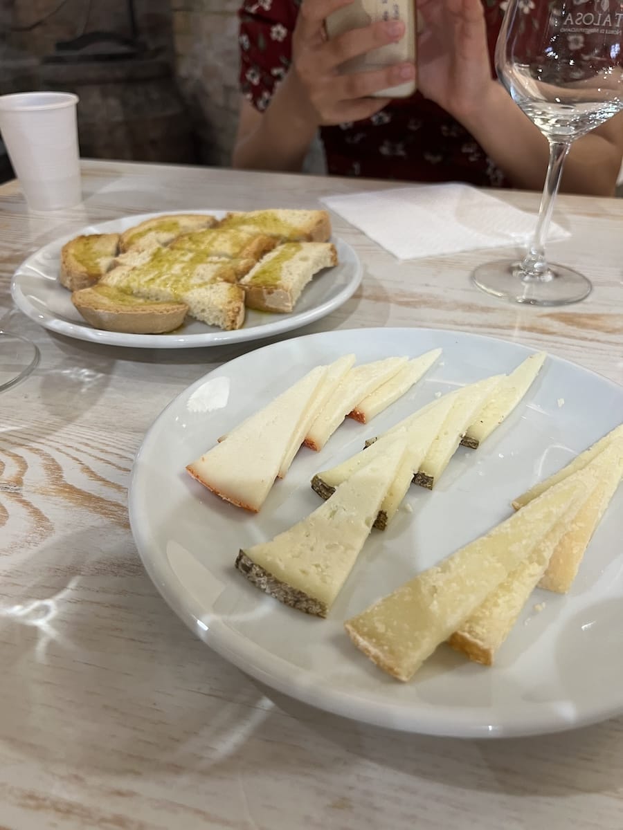 pecorino cheese and olive oil