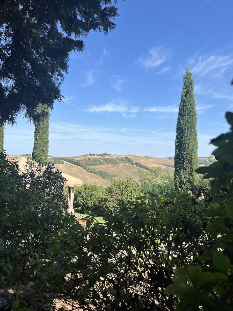 Tuscan countryside in Montalcino