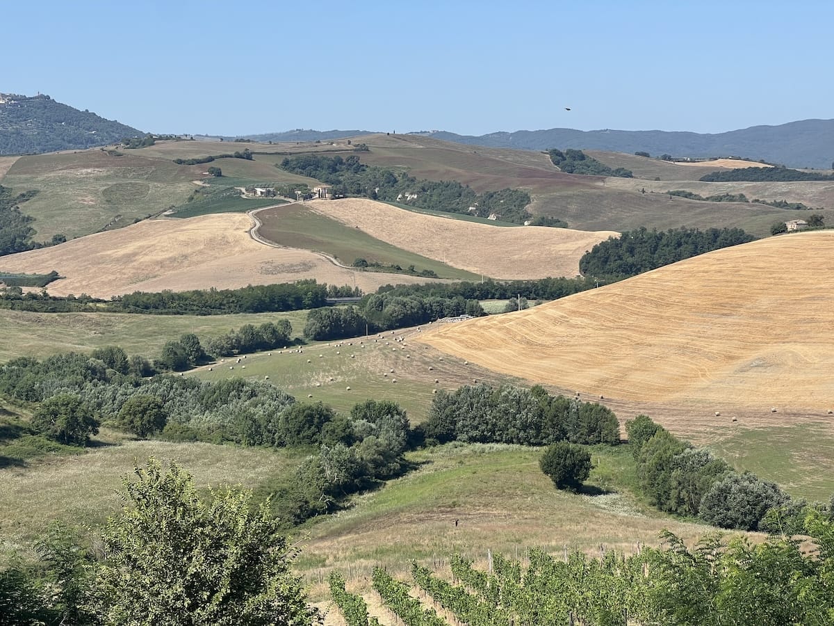 Tuscan countryside in Montalcino