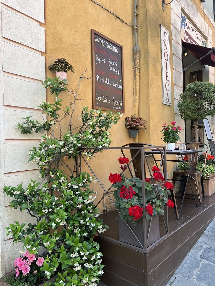 wine bar in Montalcino