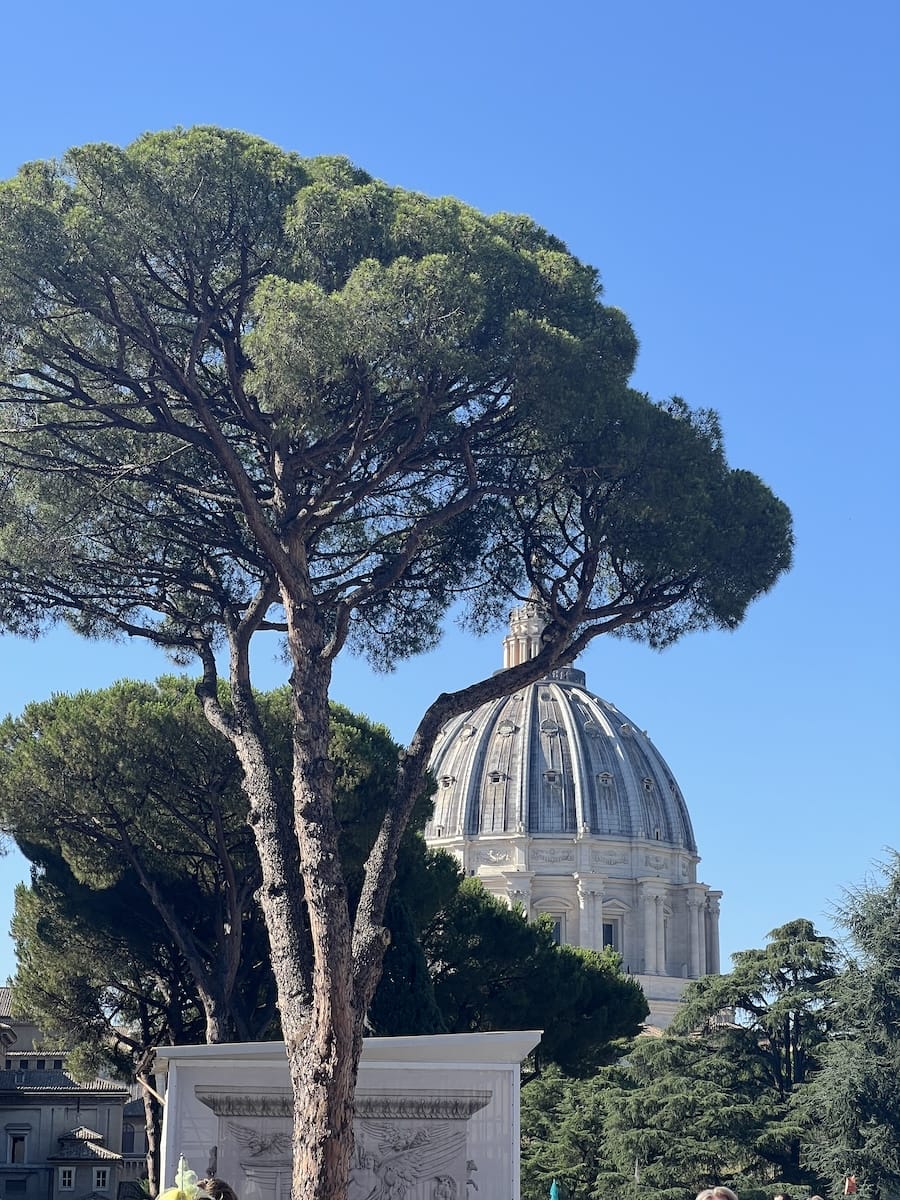 Saint Peters Basilica dome