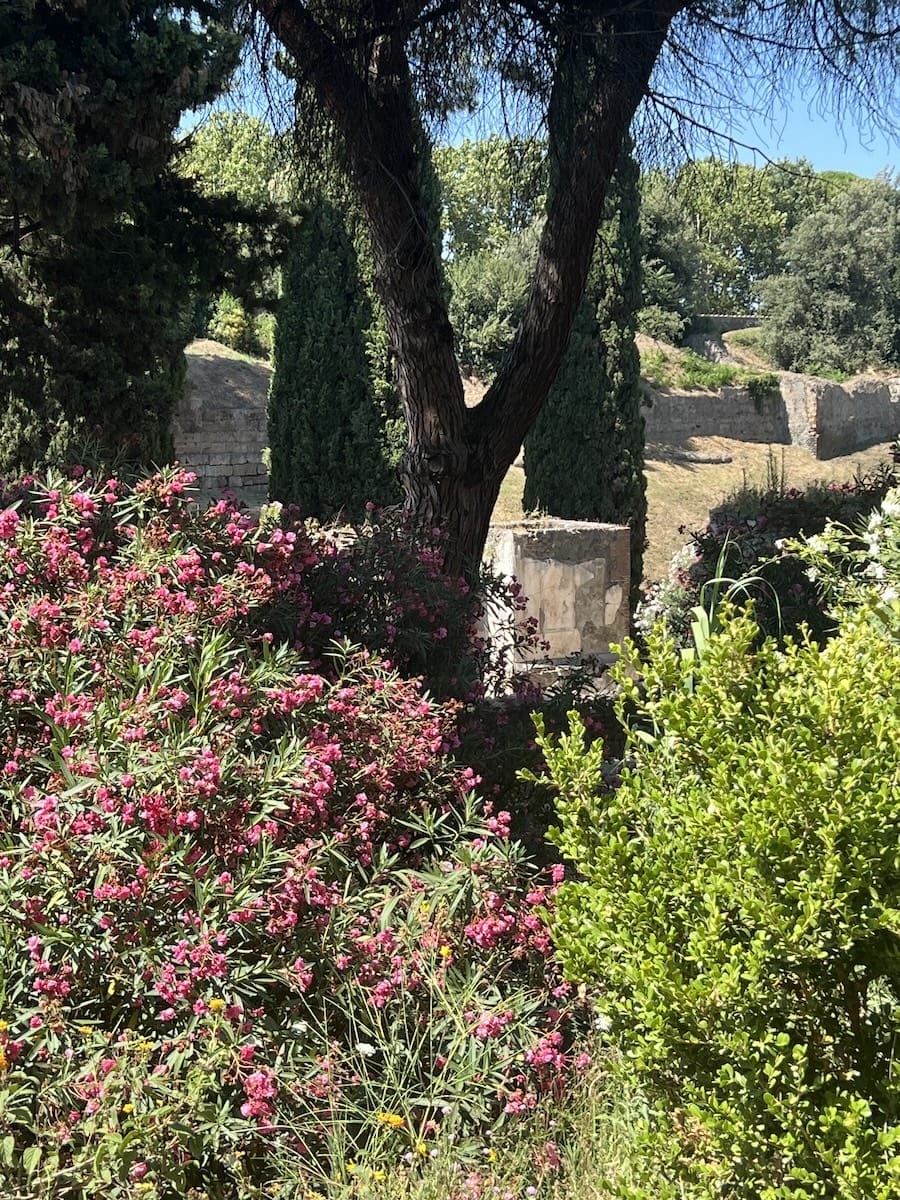 Pompeii view
