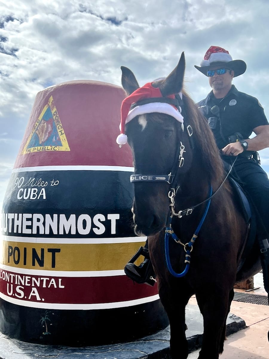 horse with holiday hat