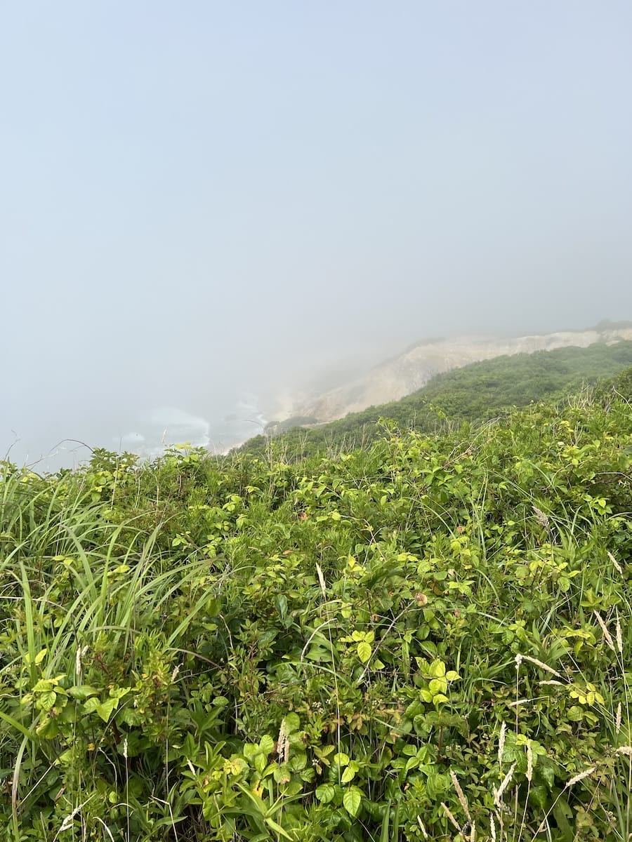 Aquinnah Cliffs in fog