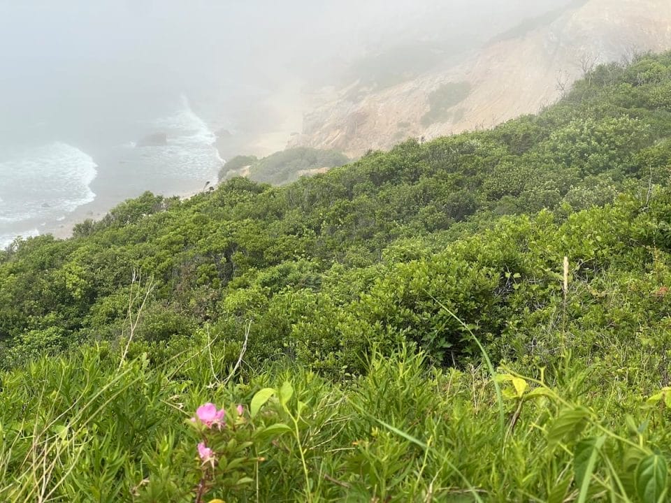 Cloudy Cliffs at Aquinnah