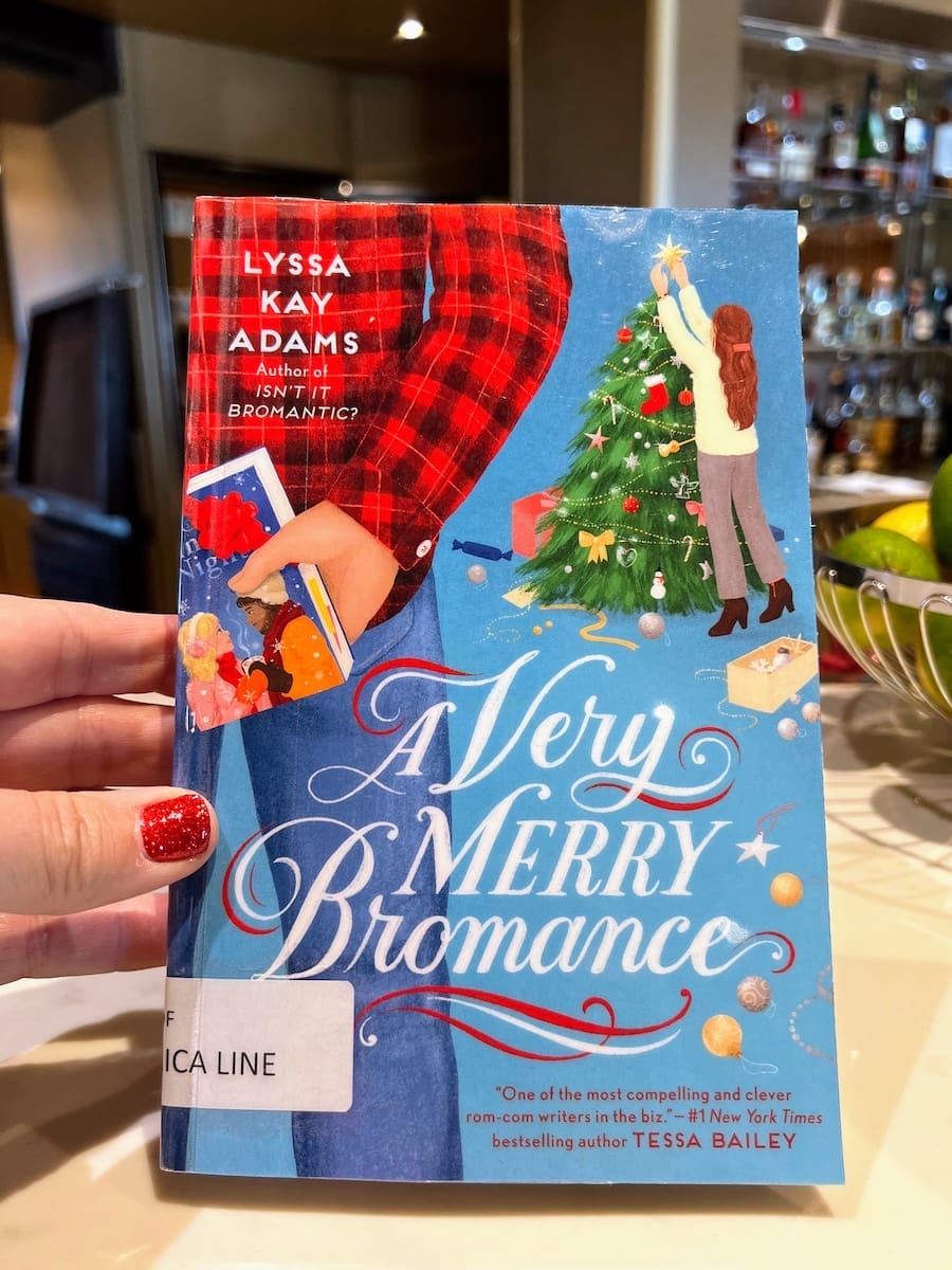 holiday book in library