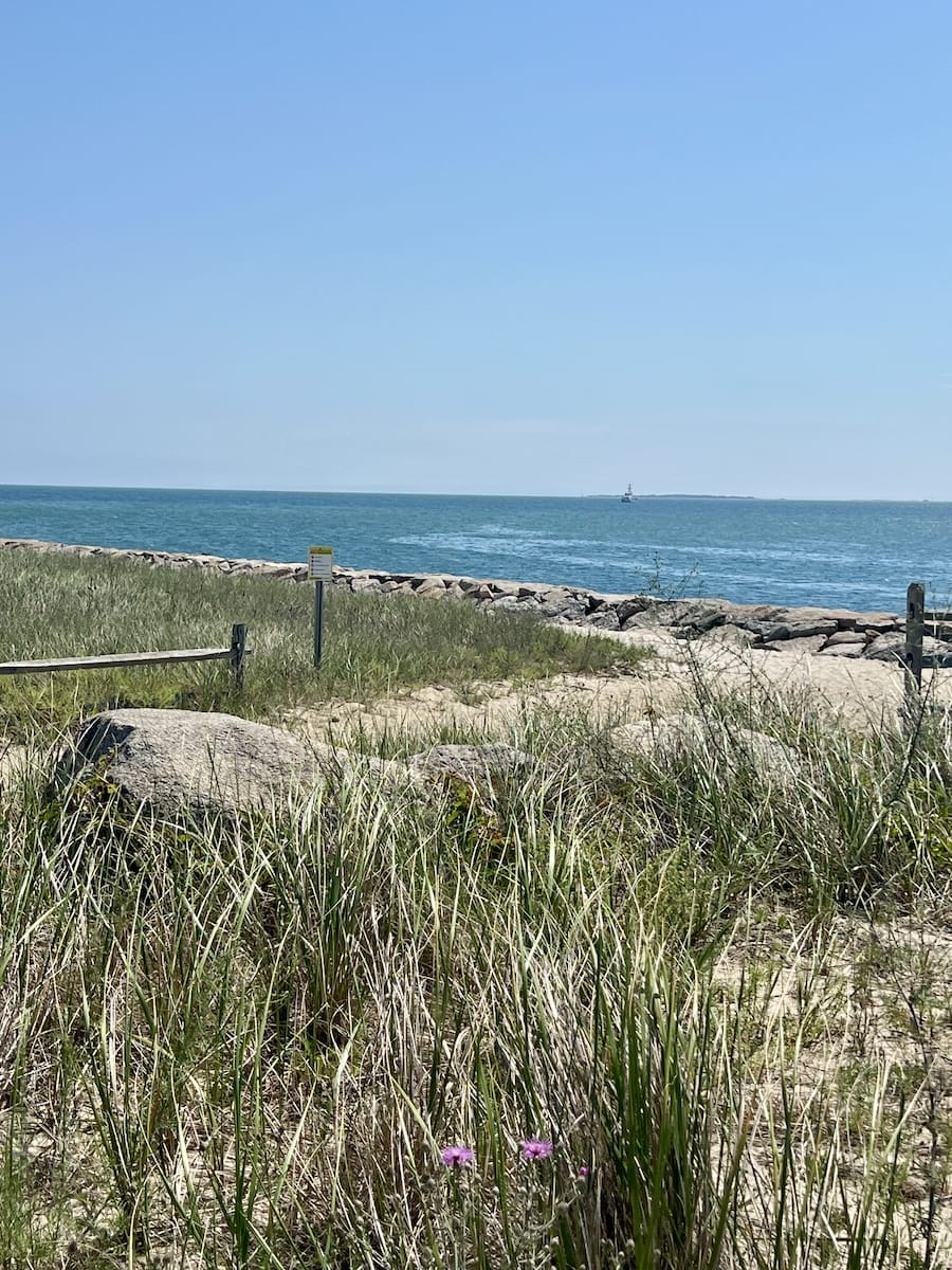 beach on Martha's Vineyard