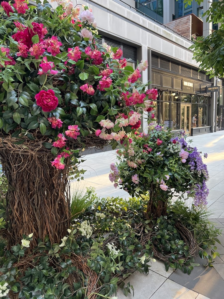 Boston flowers