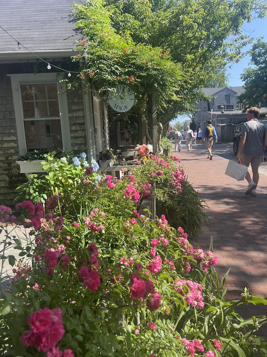 flower lined path