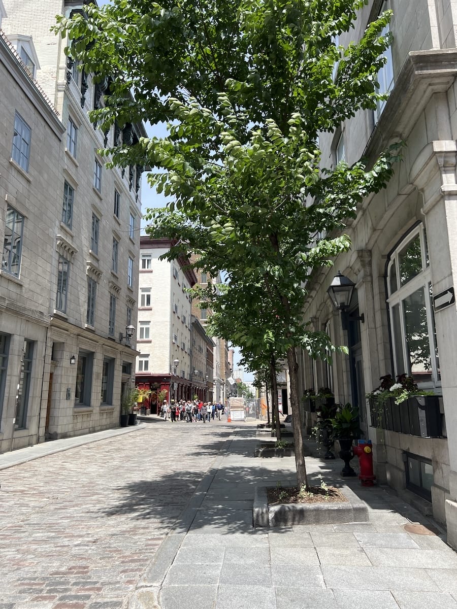 Cobblestone Streets