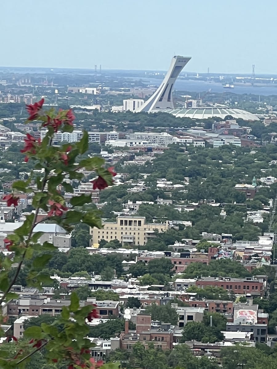 view from Mont Royale park
