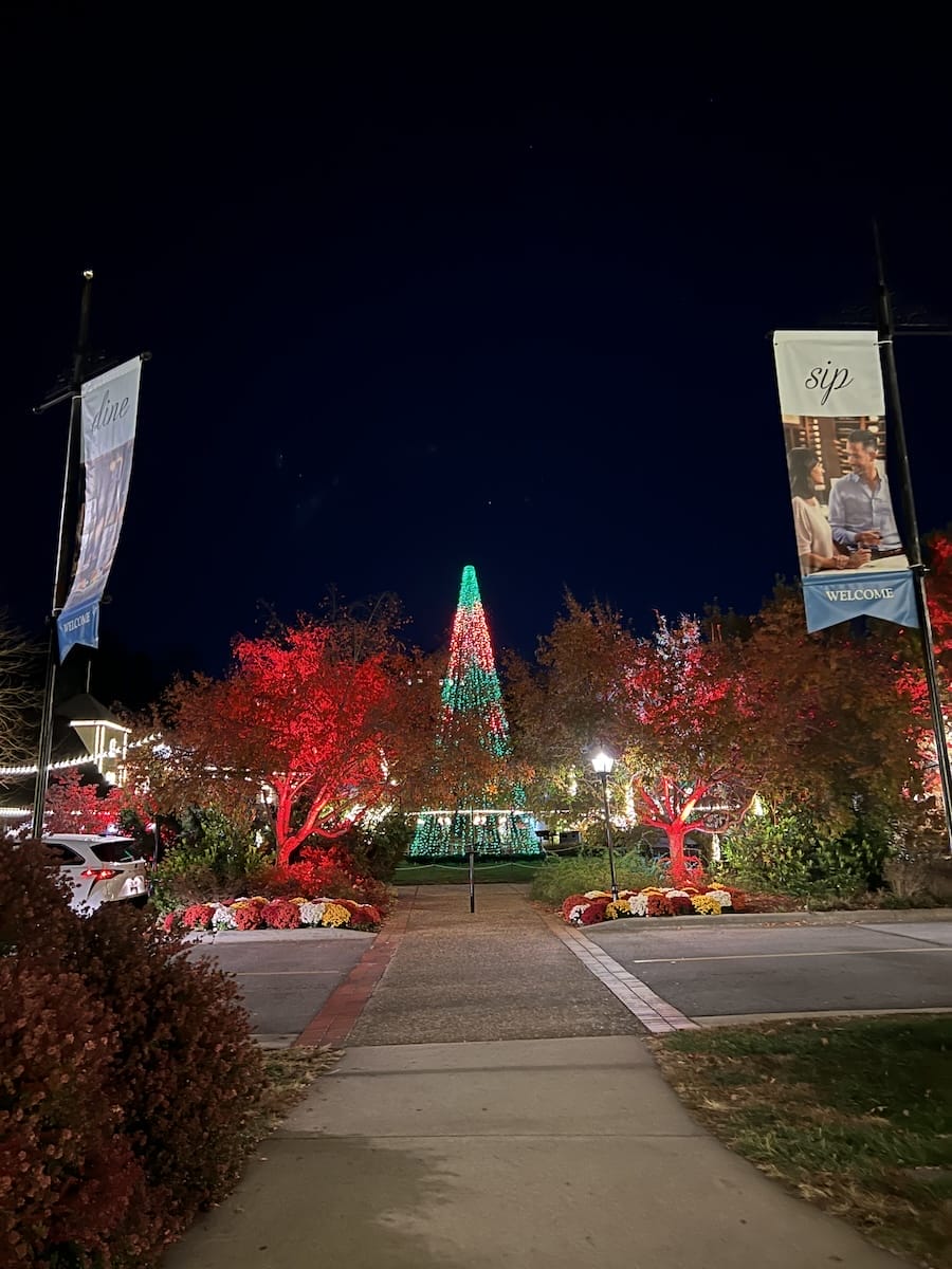 Antler Village