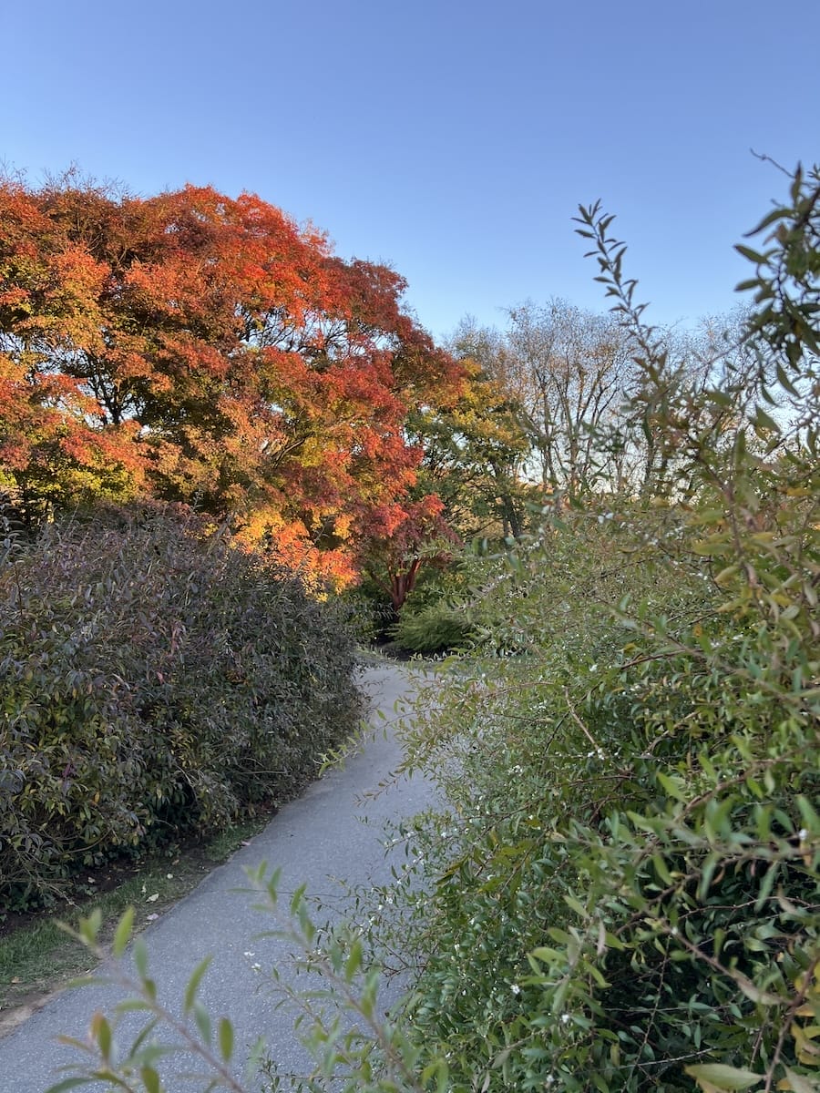 Biltmore walking path