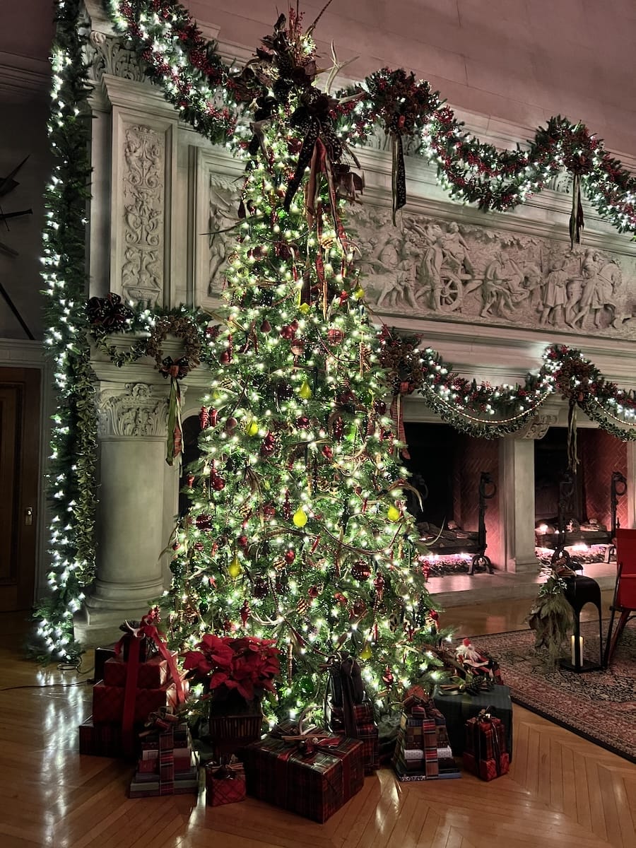 Christmas tree at Biltmore
