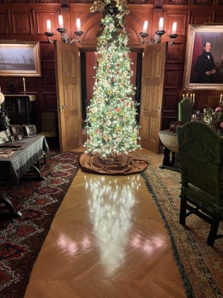 Christmas tree in the Biltmore