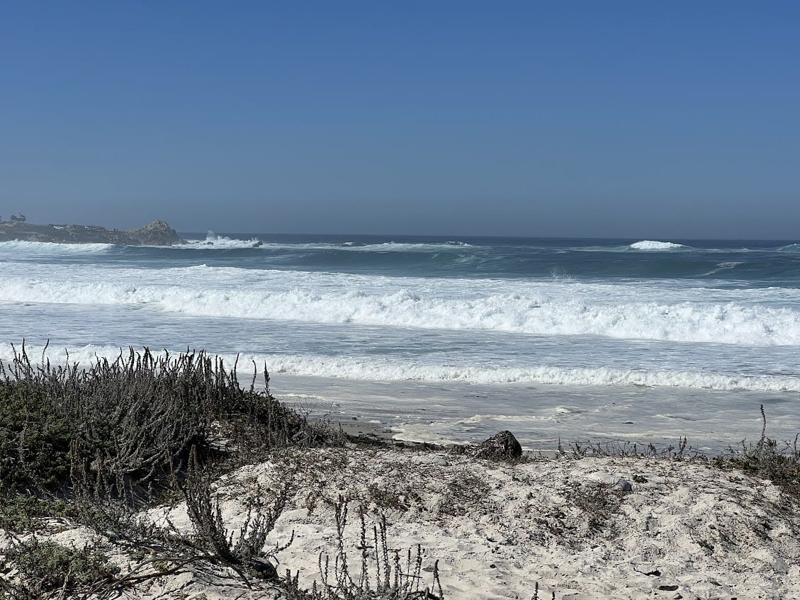 scenic beach on 17 mile drive
