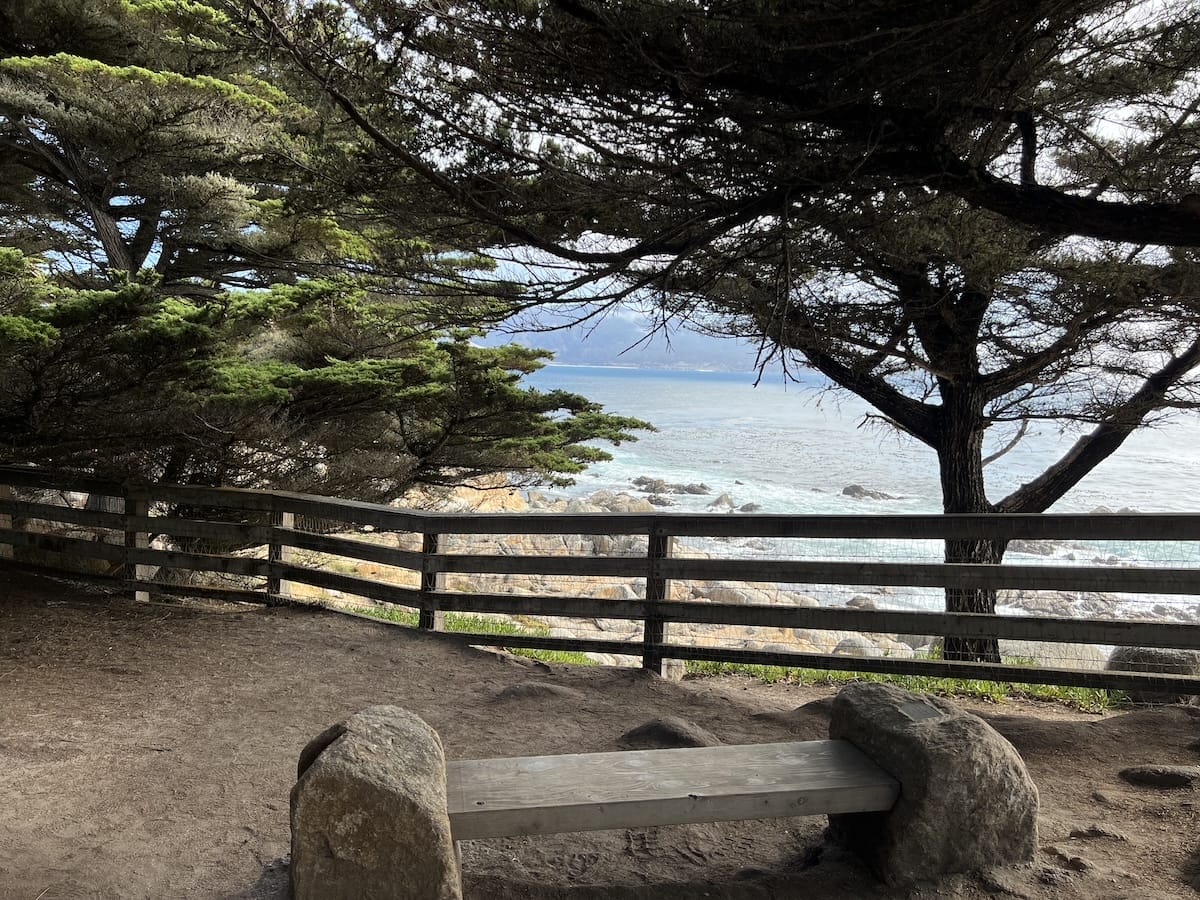 scenic view on 17 mile drive with bench