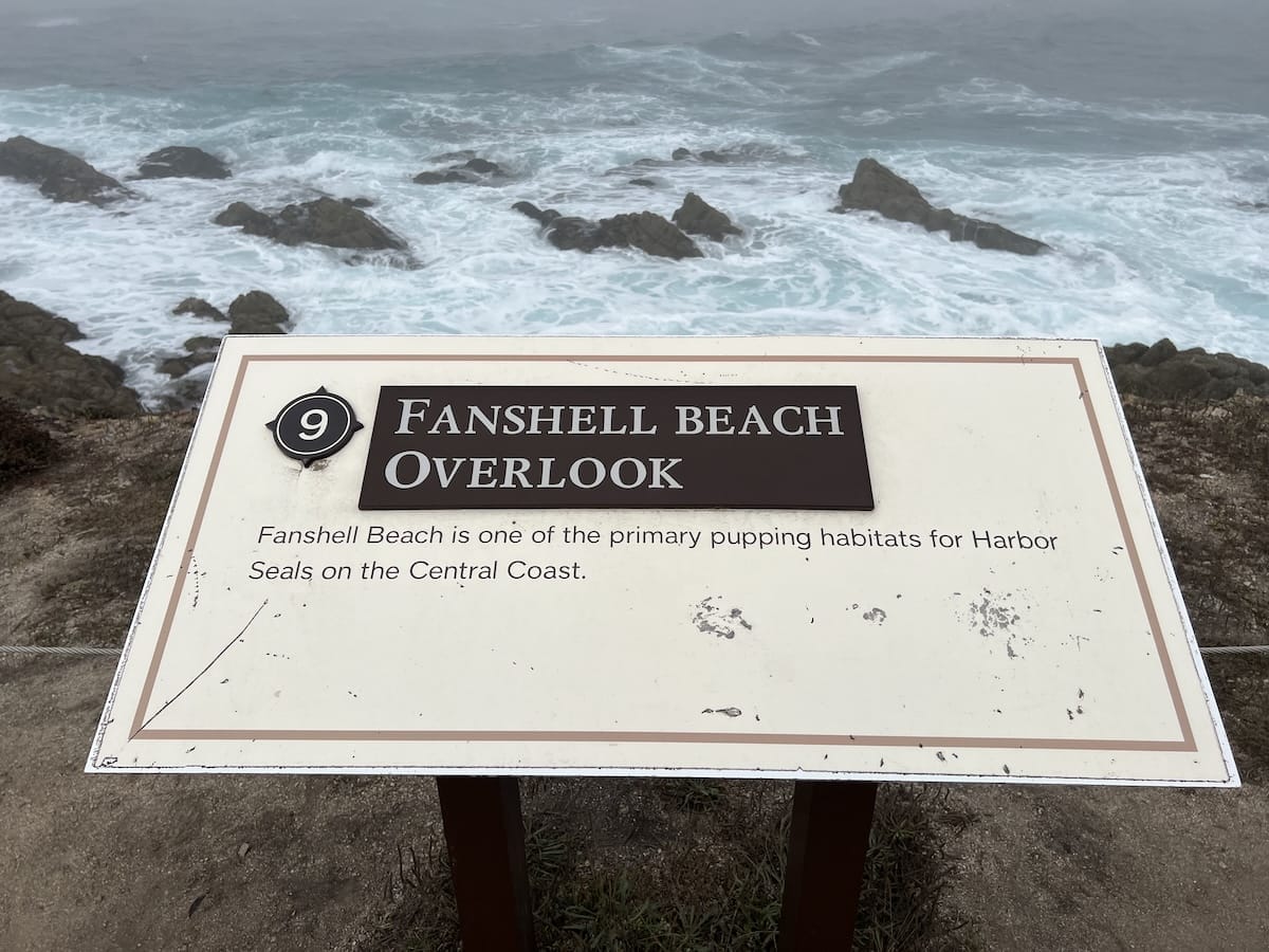 Fanshell Beach stop on 17 ,mile drive