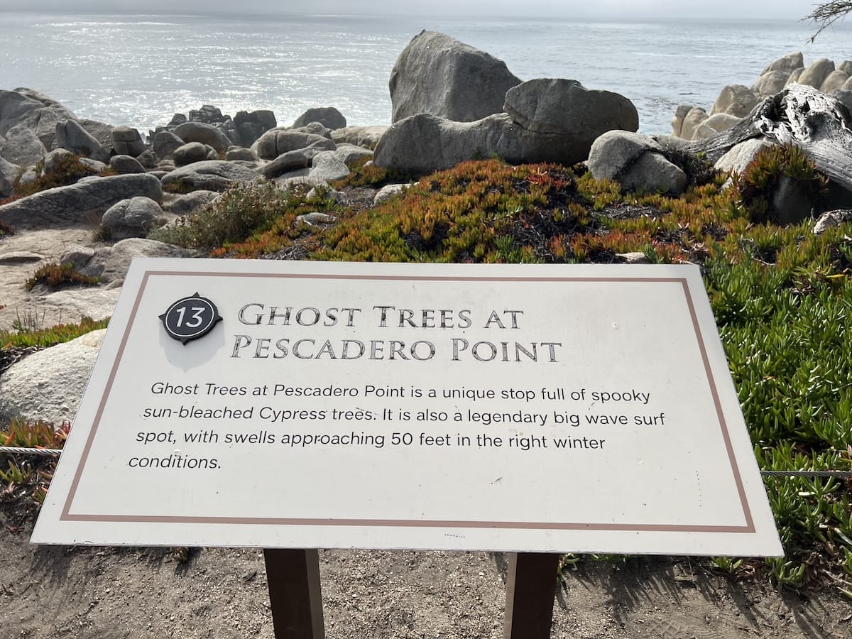 ghost tree sign on 17 mile drive