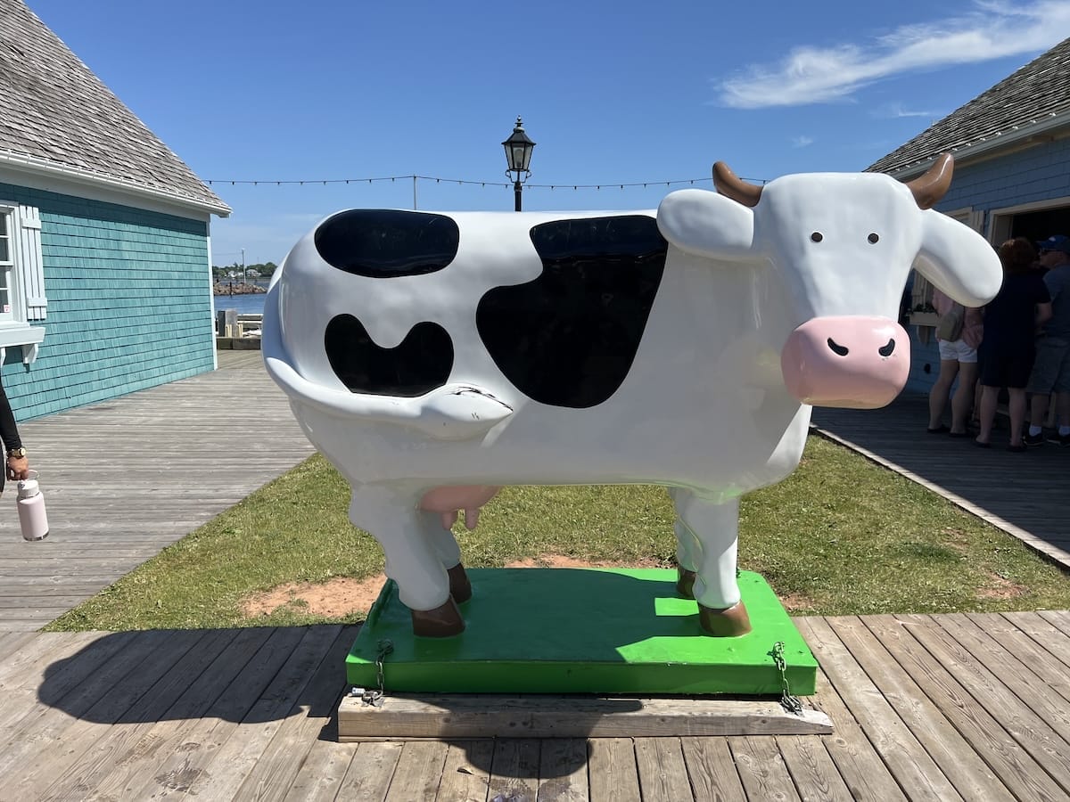 Cows ice cream cow