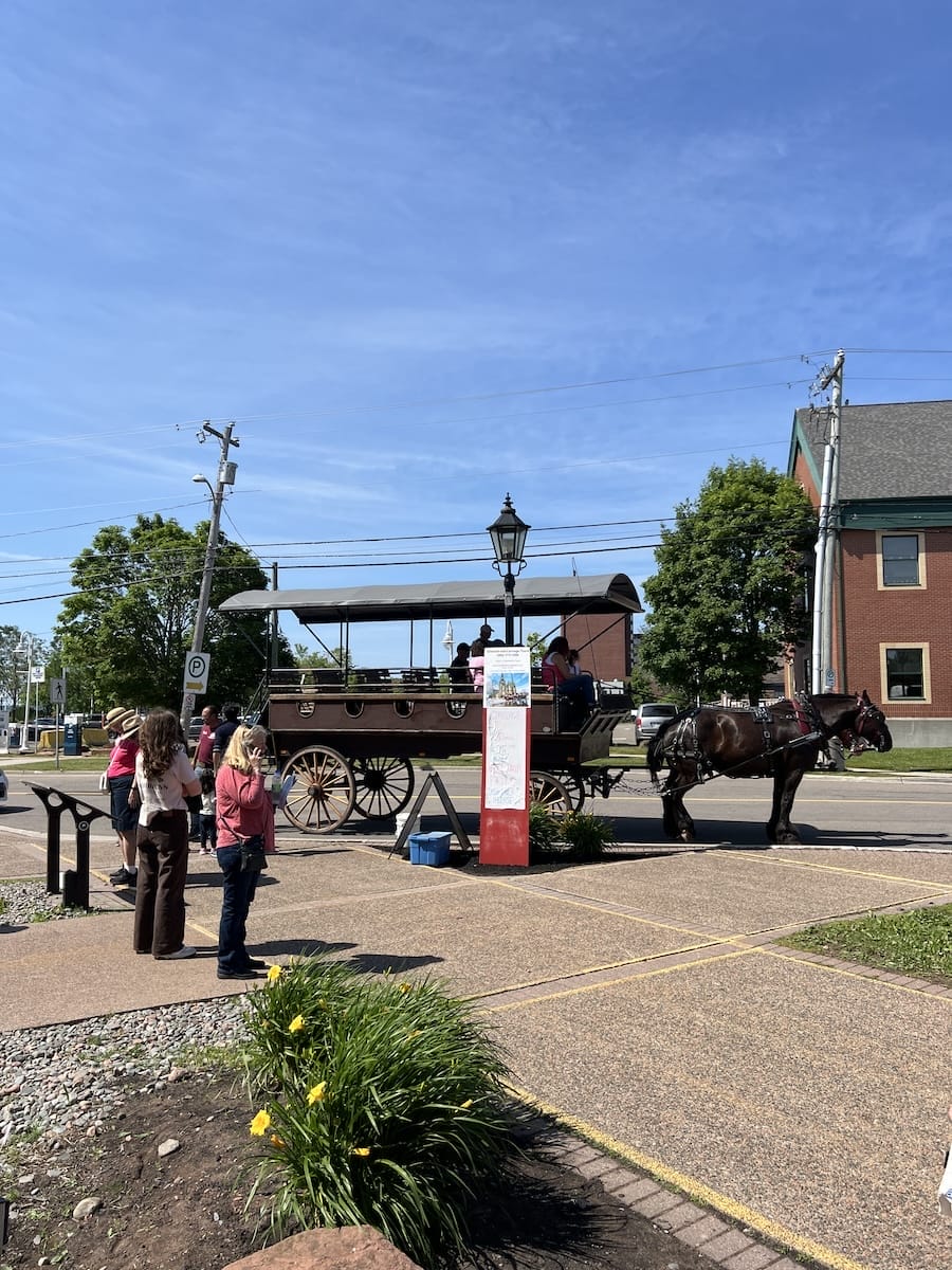 Horse and carriage ride