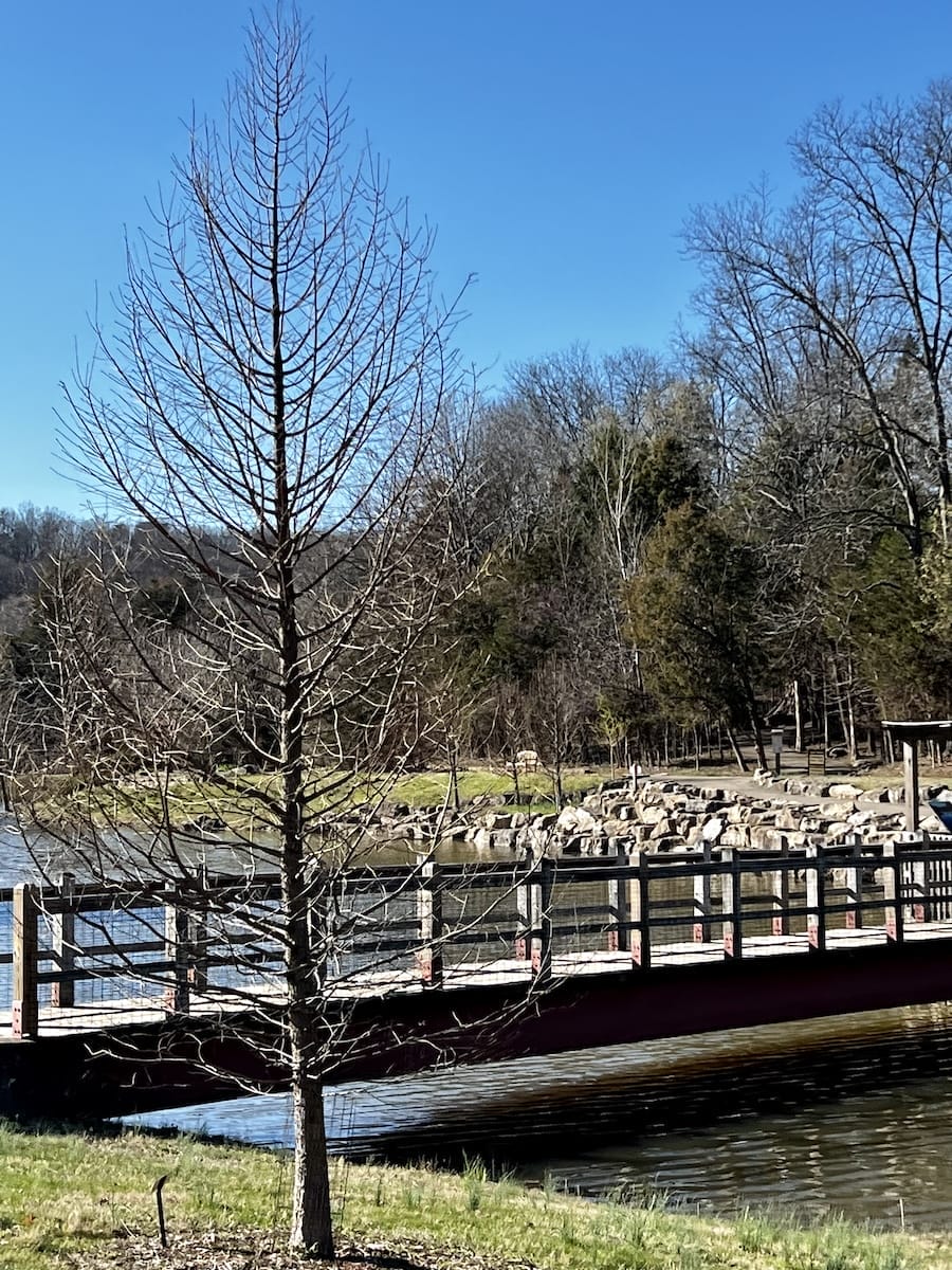 trail over lake in Bernheim Arboretum