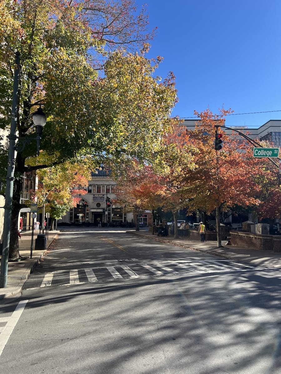 Downtown Asheville in fall