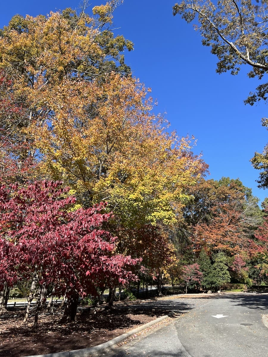 Bethabara walking trail