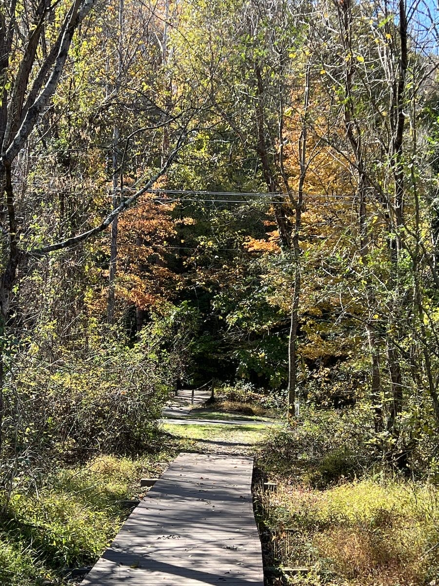 Bethabara walking trail