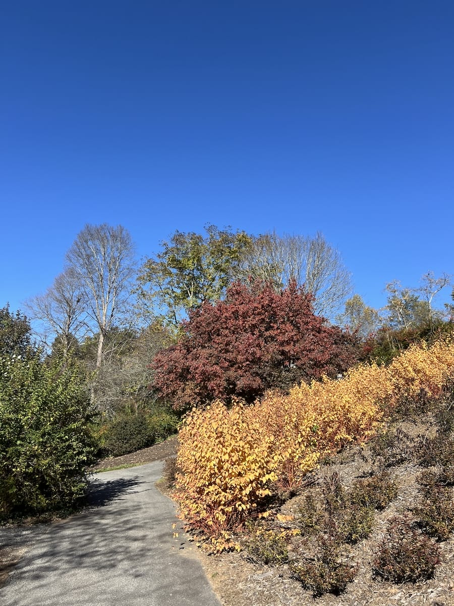 Biltmore trails